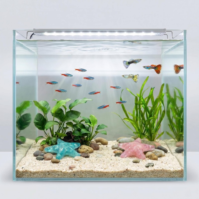 Fruobeyla Starfish Decor for Aquarium, 2-Pack Pink & Blue Fish