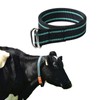 The Cow Collar is Adjustable in Size, Suitable for Managing