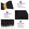 Kinky Straight Human Braiding Hair for Boho Braids Wet and