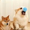 Smart Interactive Dog Ball Toy with LED Lights IP54 Waterproof