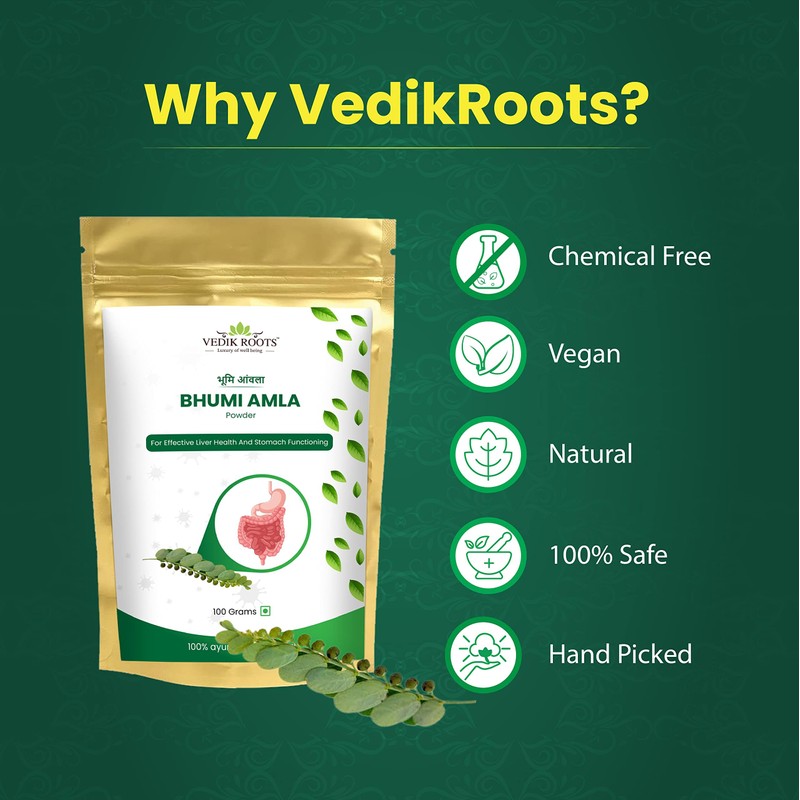 Organic Bhumi Amla Powder - Rich in Antioxidant Vitamin C