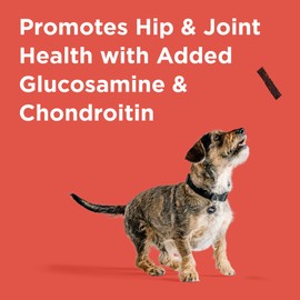 BIXBI Hip & Joint Support Beef Lung Jerky Dog Treats, 5 oz - USA Made Grain Free Dog Treats - Glucosamine, Chondroitin for Dogs - High in Protein, Antioxidant Rich, Whole Food Nutrition, No Fillers