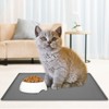 Pet Feeding Mat Silicone Waterproof Safe Raised Edge Slip Resistant