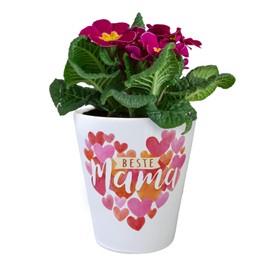 Hearts Flower Pot with Saying Beste Mama Ideal Mother's Day Gift Love in Heart Design For Mum Mother Love Family Ehren