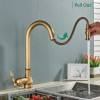 Rozin Kitchen Faucet Pull Out Spray Single Handle Sink Swivel