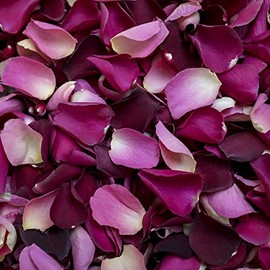 Petals and Roses Freeze Dried Rose Petal Confetti | Natural & Biodegradable for Weddings, Romance Mix, 2 Litres
