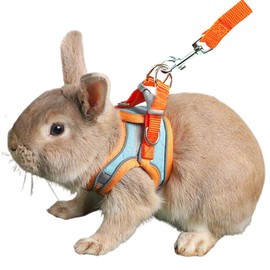 Anelekor Bunny Harness and Leash Set Reflective Strip Kitten Vest Harness Escape Proof Rabbit Leash Walking Pet Accessories for Small Cat XXS Dog Guinea Pig and Small Animals (Orange, Medium)