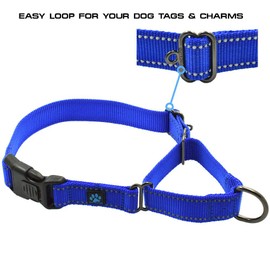 Max and Neo Nylon Martingale Collar - We Donate a Collar to a Dog Rescue for Every Collar Sold (Large, Purple)