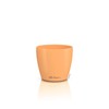 LECHUZA Classico Color 10 Deco Papaya Table Pot Matte Surface