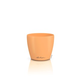 LECHUZA Classico Color 10 Deco Papaya Table Pot Matte Surface Diameter 11 x 10 cm 16665