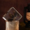 Taxidermy Bat, Real Bat Specimens Animal Specimen in Resin for
