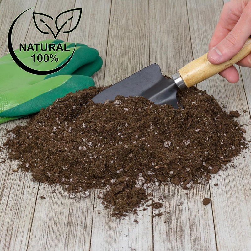 Soil Sunrise Citrus Tree Potting Soil Mix (12 Quarts) Special