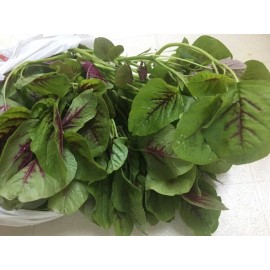 Mai's Family Red stripe Amaranth Seeds, Rau Den, Chinese Spinach seeds Yin Cho Callaloo - 2,500+ Seeds, Red Amaranth