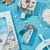 AHANDMAKER 450pcs 3 Styles Ocean Beach Shells Spiral Shell Fish