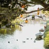 Happyyami Plastic Large Eagle Shaped Bird Deterrent Lifelike Flying Hawk