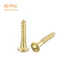 QUARKZMAN Wood Screws M2 x 10 mm Slotted Round Head