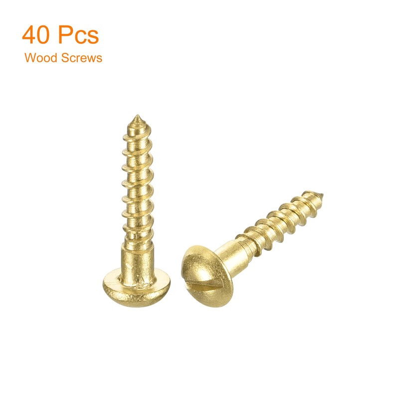 QUARKZMAN Wood Screws M2 x 10 mm Slotted Round Head