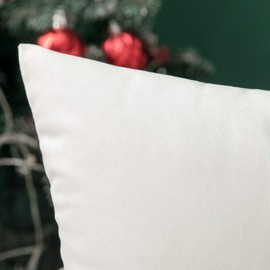Miulee Velvet 1 Piece Cushion Cover Decorative Decorative Cushion Cover with Hidden Zipper Sofa Bedroom Car