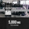 Jacked Factory Creatine Monohydrate Powder 425g - 5g Daily Creatine