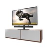 Kanto TTS100 Tabletop TV Stand for 37 inch to 60