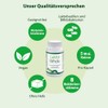 Lakto Bifido Dr. Jacob's Capsules Pack of 90 Capsules |