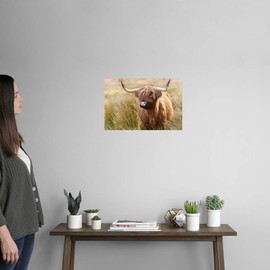 CANVAS ON DEMAND Highland Cow, Scotland Wall Decal, Cow Artwork