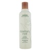 Aveda 아베다 로즈메리 민트 샴푸 Aveda Rosemary Mint Shampoo [250ml