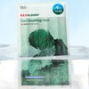 닥터지 레드 블레미쉬 쿨 수딩 마스크, 10개입, 1개 Dr.G Red
