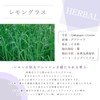 Lemongrass 10ml e-aroma Essential Oil Essential Oil Aroma Oil (10ml)
