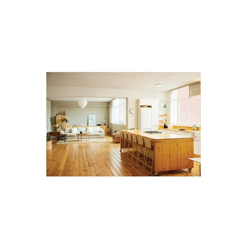 ProLuxe PLX017S/54 12.25 Oz. Satin Clear Wood Finish Interior Spray
