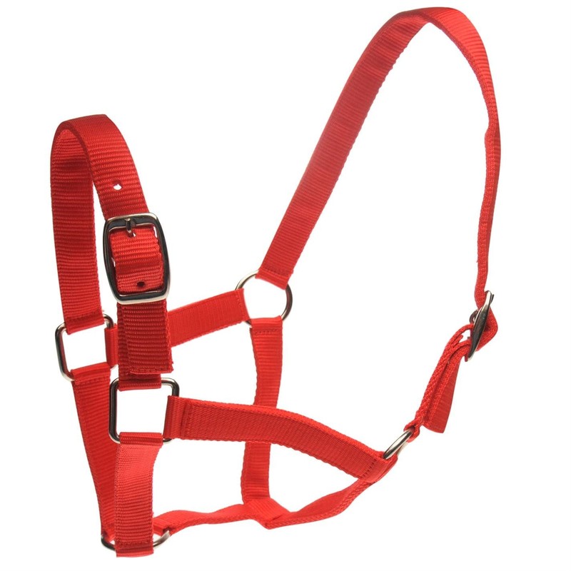 312-0123 Roma Headcollar/Leadrope Set (Red/Navy, Cob)
