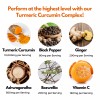 Turmeric Capsules 10,000mg Curcumin, Black Pepper & Ginger Complex Tumeric