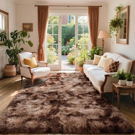 AROGAN Shag Brown Area Rug for Bedroom, 4x6 Feet Washable Non-Slip Modern Indoor Floor Carpet, Plush Memory Foam Beside Rug for Kids Girls Teens Room Low Pile Decor, Coffee