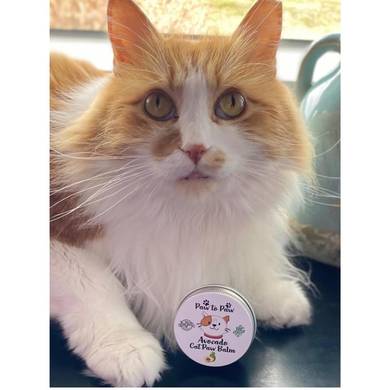 Paw to Paw Cat Paw Butter Sample (15ml) Natural Lick