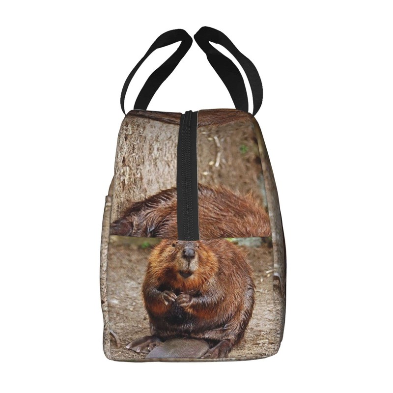 Larklitz Cute Funny Beaver Reusable Insulated Lunch Bag, 8.5in x