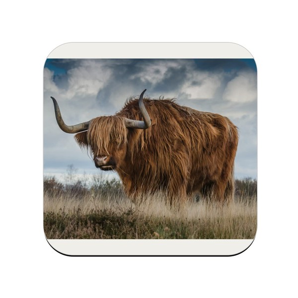 Untersetzer aus Kork – Stier Highland Wunderbares Tier Wildlife Foto
