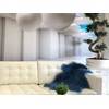 Hollert Lambskin Tibet Sheepskin Monglolic Sheepskin Curly Very Soft Real