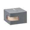Chacott Chacott Finishing Powder, Face Powder, Pearl Glitter Finishing Powder