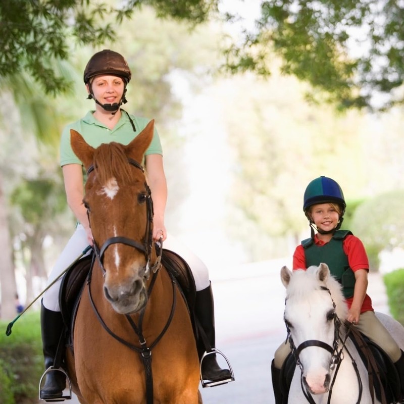 Stiefelknecht, boot jack