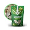 Soursoply – Premium Dried Soursop Leaves (100g) | Whole Dried