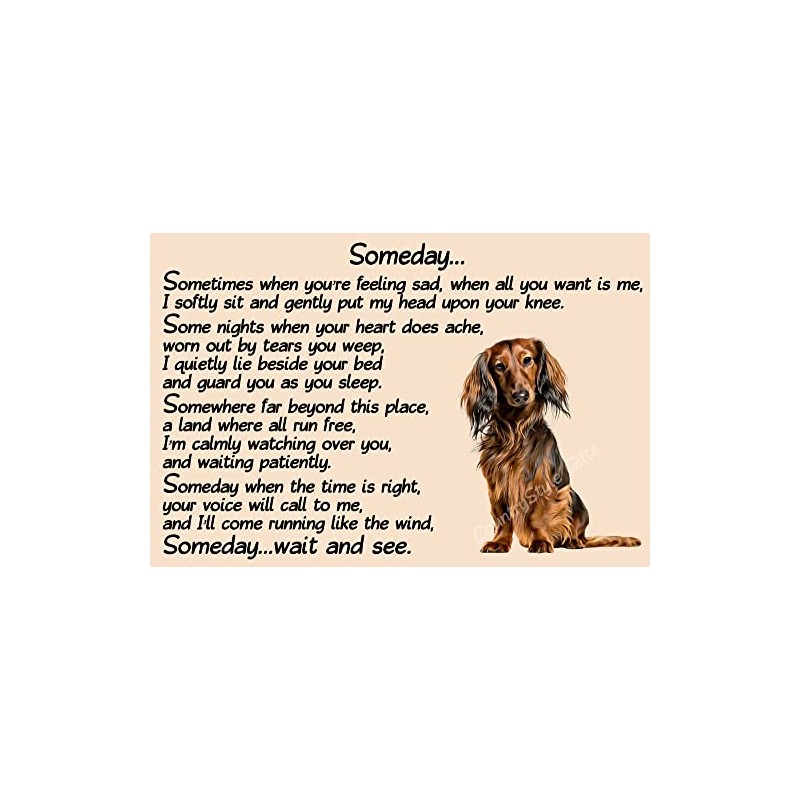 Dachshund Dog Memorial pet loss Fridge Magnet Gift - Someday