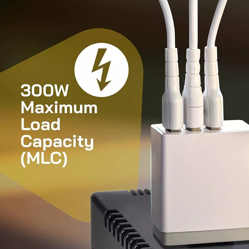 ELC 300-Watt Voltage Converter - Step Down - 220v to