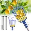 RAIN SPIRIT Fruit Picker Pole with Basket Telescoping tool extension