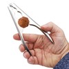 Leddy Living Traditional Metal Non Slip Nutcracker for Nuts, Almonds,