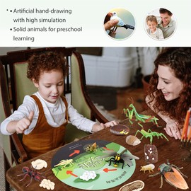 Volnau Animal Figurines Toys 16PCS Life Cycle Figure Set for Toddlers Kids Dragonfly Mantis Ant Cicada Decorations Preschool Educational Prop