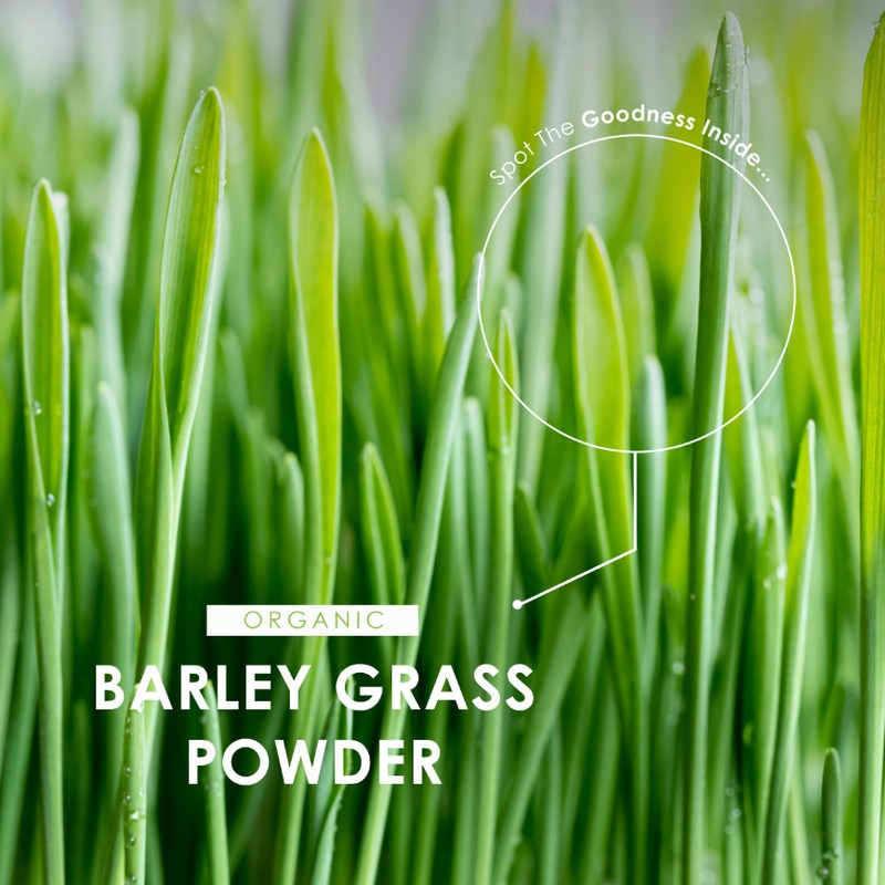 Organic Barley Grass Powder 1kg – Rich in Amino Acids