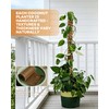 Coco Liners for Planters - Thick Coconut Fiber, Pre-Drained Planter