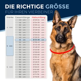 Combination Chain for Dogs with Neck Circumference 33-38 cm Made of Stainless Steel V4A Dog Chain with Pull Stop Chain Collar Short Links 5 mm Thick and 45 cm Total Length