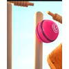 ONEGlobal Iconic Leather Cricket Ball - 100% Hand Stitched 5.5oz