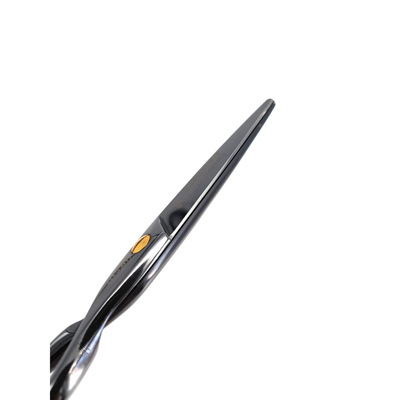 NTS-Solingen Professional Hairdressing Scissors Ergonomic Rustproof Titanium Coated 5.5 Inches